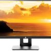 HP 24 Monitor Rental